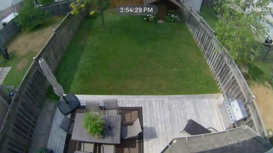 A home security camera photo of a wooden fenced in backyard and a deck with outdoor furniture.